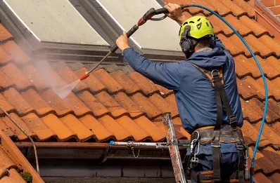Démoussage et hydrofuge de toiture au Ménil-Broût